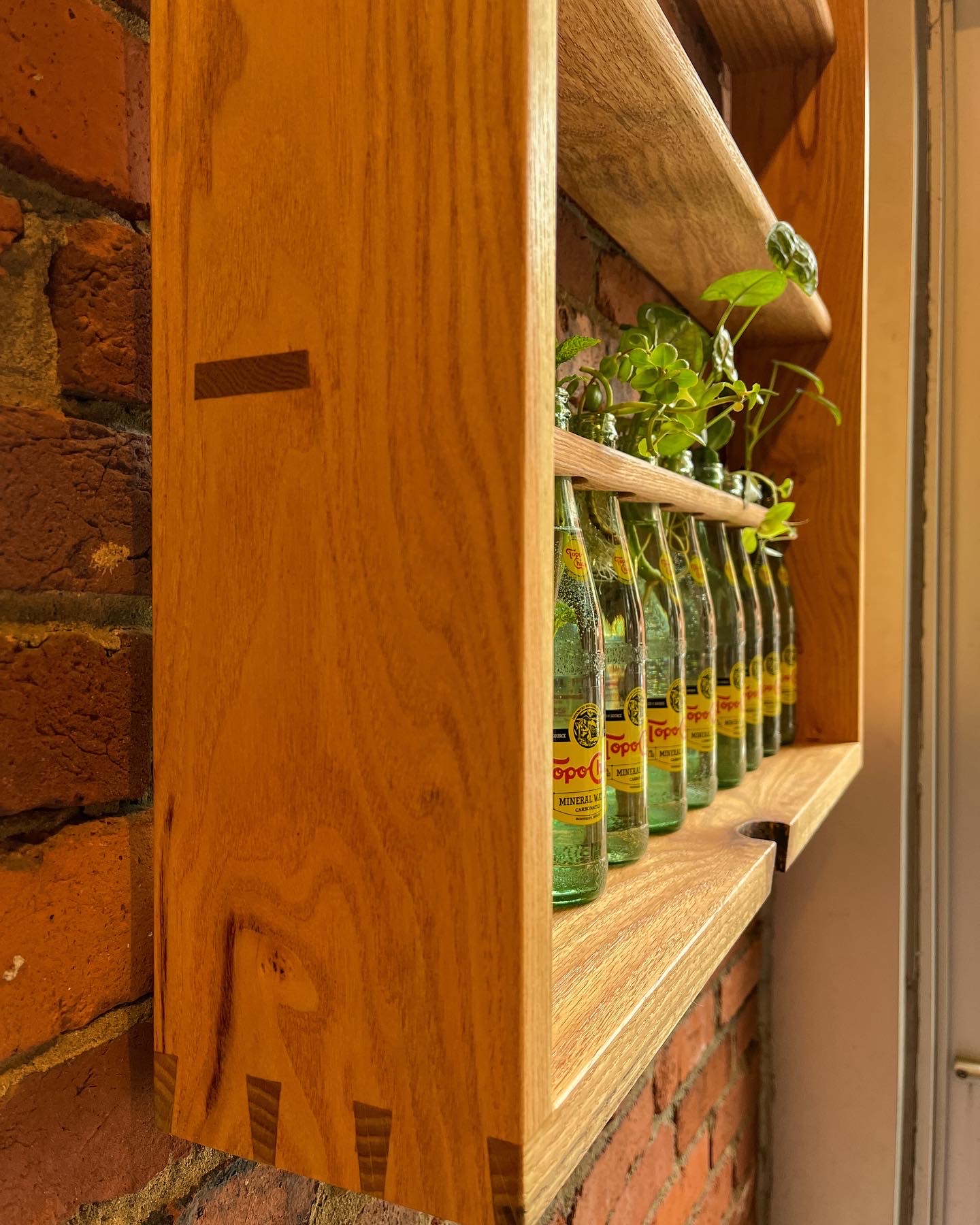 Slim dovetails and through tenon of the exterior case of a propagation shelf. Full of plant cuttings held in place on the shelf. Natural wood knot shown prominently from this ride side angle. 