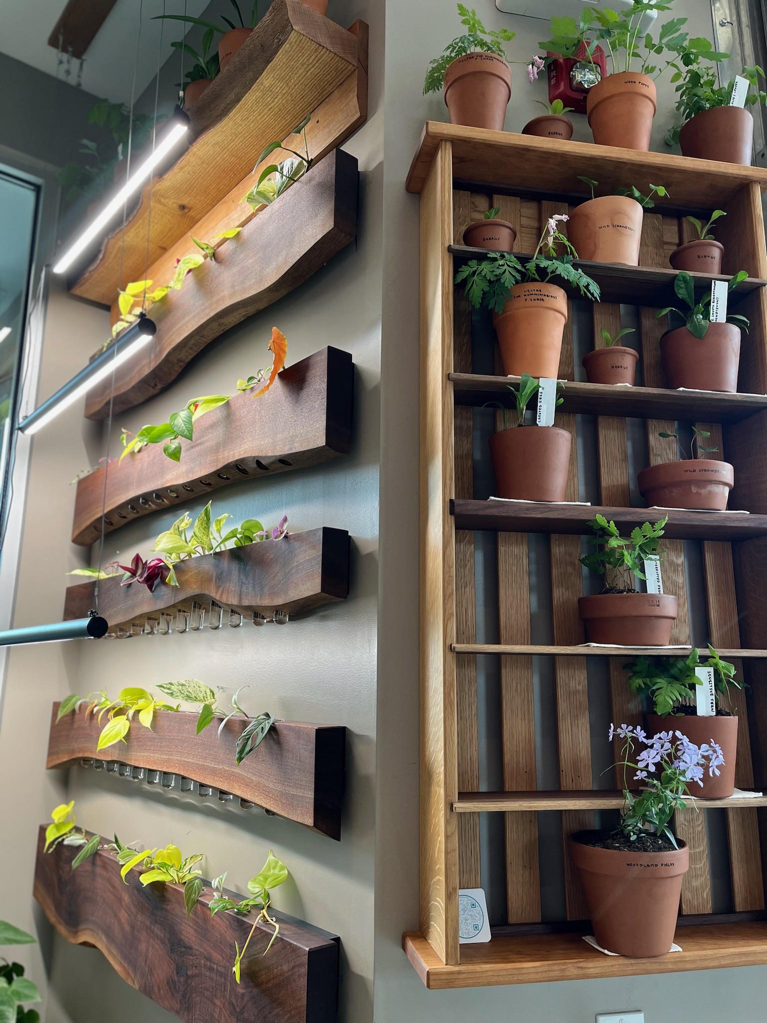 two plant walls shown, propagation stations to the left and shelving unit to the right.