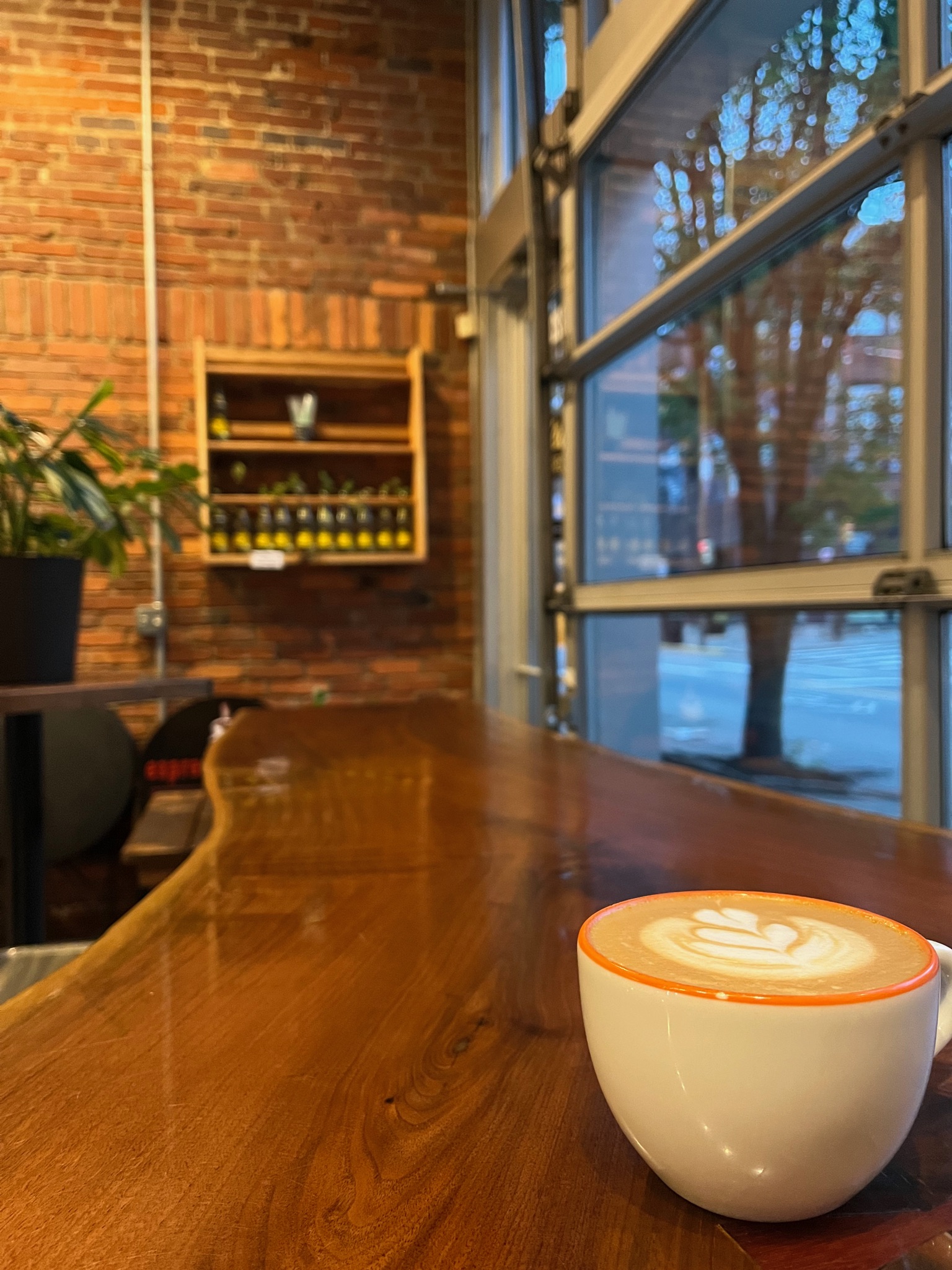 Full propagation shelf in background and cappuccino on a table in the foreground of a coffee shop located in the Lawrenceville neighborhood of Pittsburgh. Warm lighting inside with glass garage doors exposing the treelined streetscape.