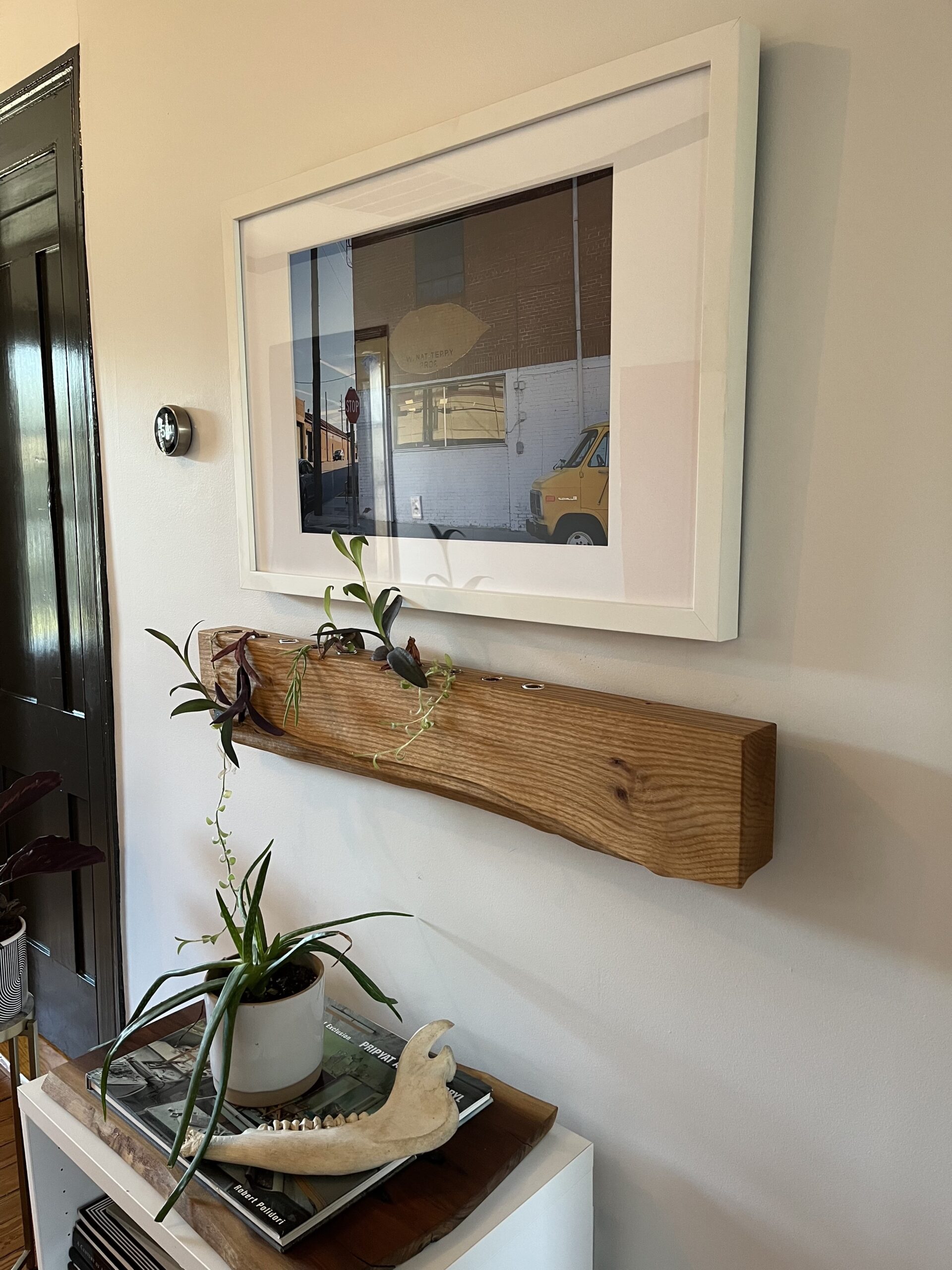 plant propagation station made from white oak hanging on the wall of a private residence home.